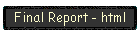 Final Report - html